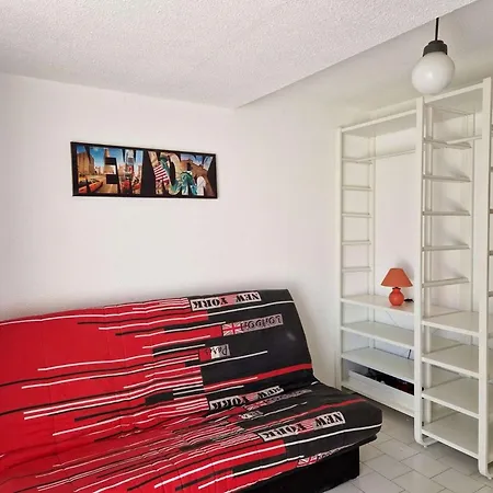 Apartman Bord De A Plage, Animaux Admis, Parking Prive - Fr-1-387-205